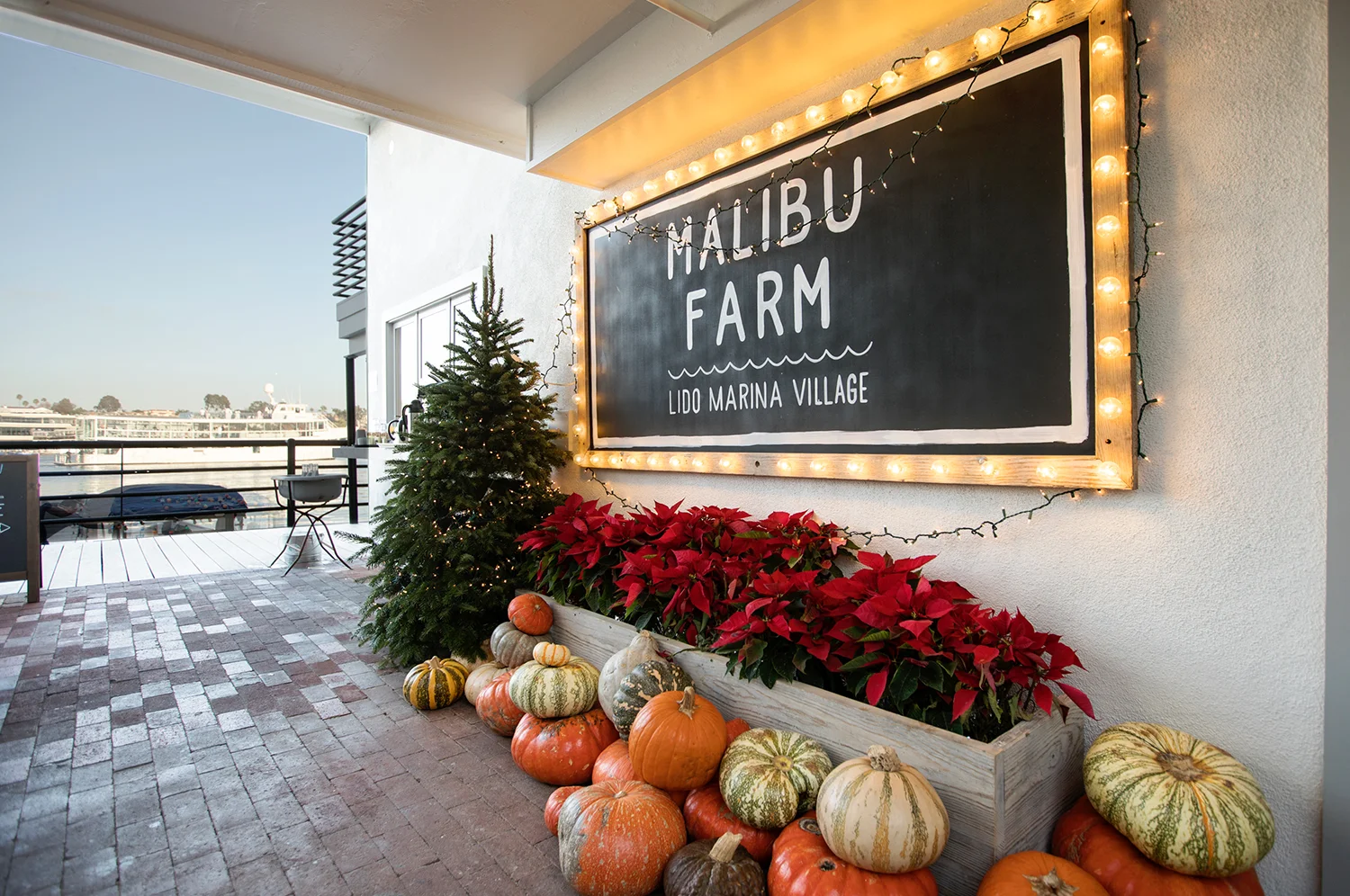 Malibu Farm Header.jpg