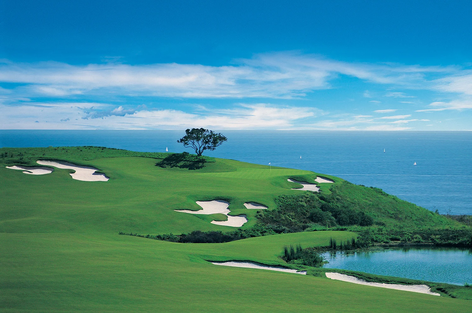 Pelican Hill 4.jpg