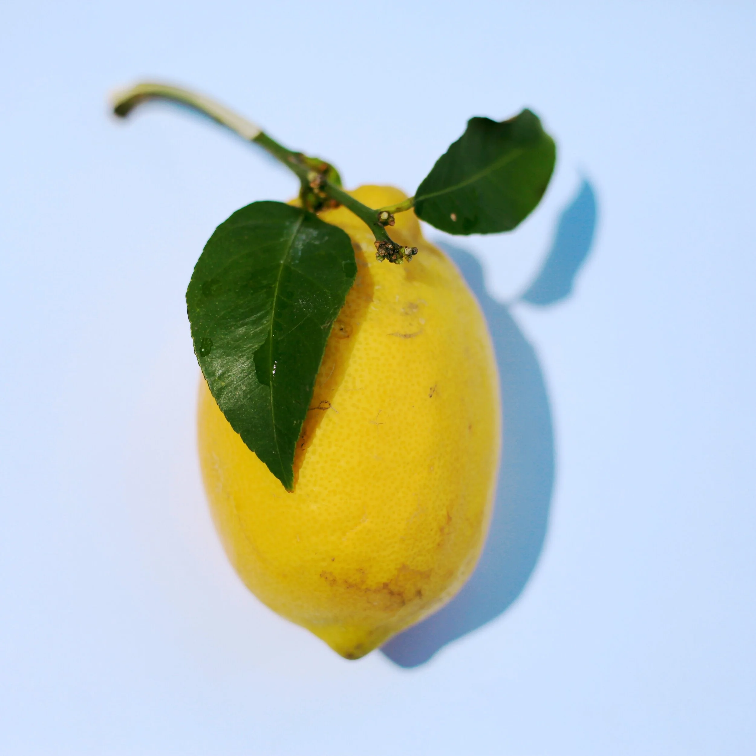 Magnolia Wellness Presents: Genetic Garden, Detox 101