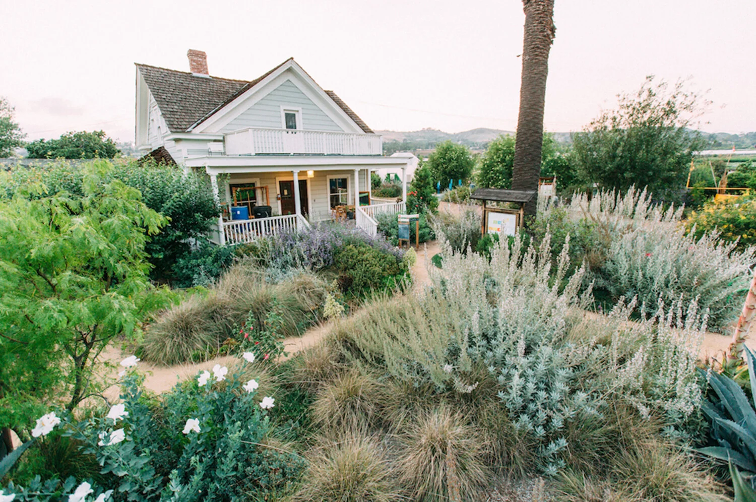 The Ecology Center GROWS, EATS, and MAKES for a Better Environment