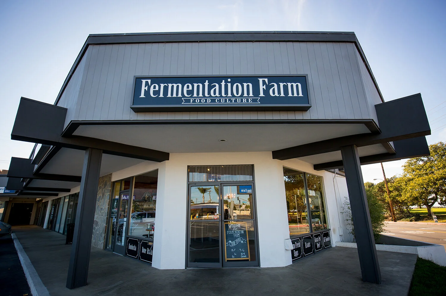 Fermentation Farm: Changing Lives &amp; Guts