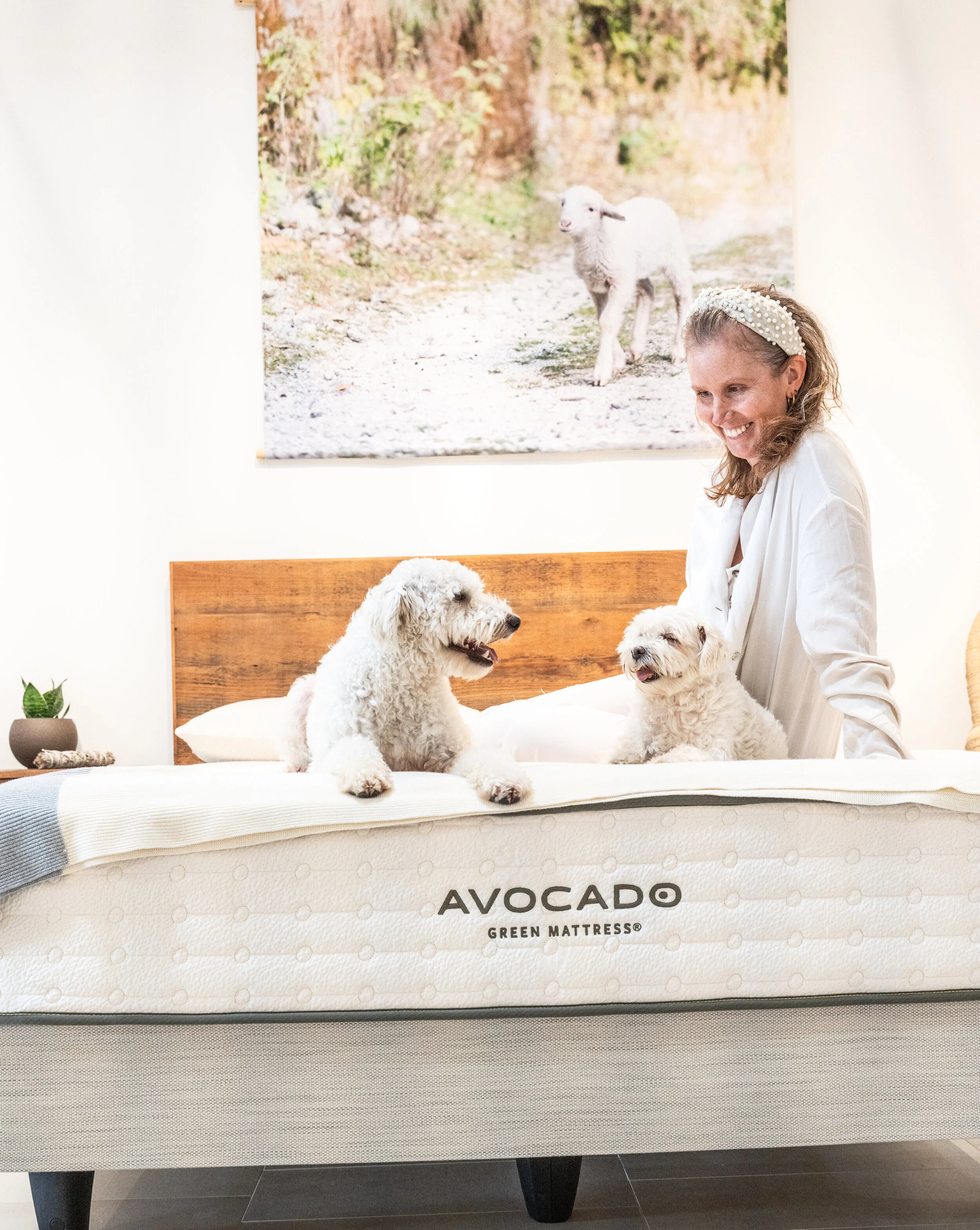 Giving Your Bed the Upgrade it Needs with Avocado Mattress