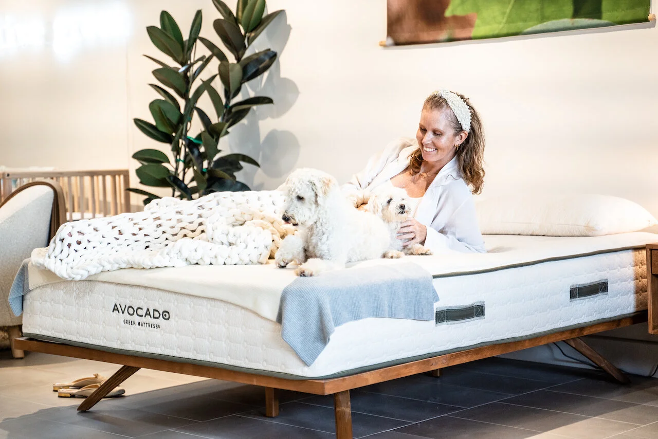 Giving Your Bed the Upgrade it Needs with Avocado Mattress Laguna