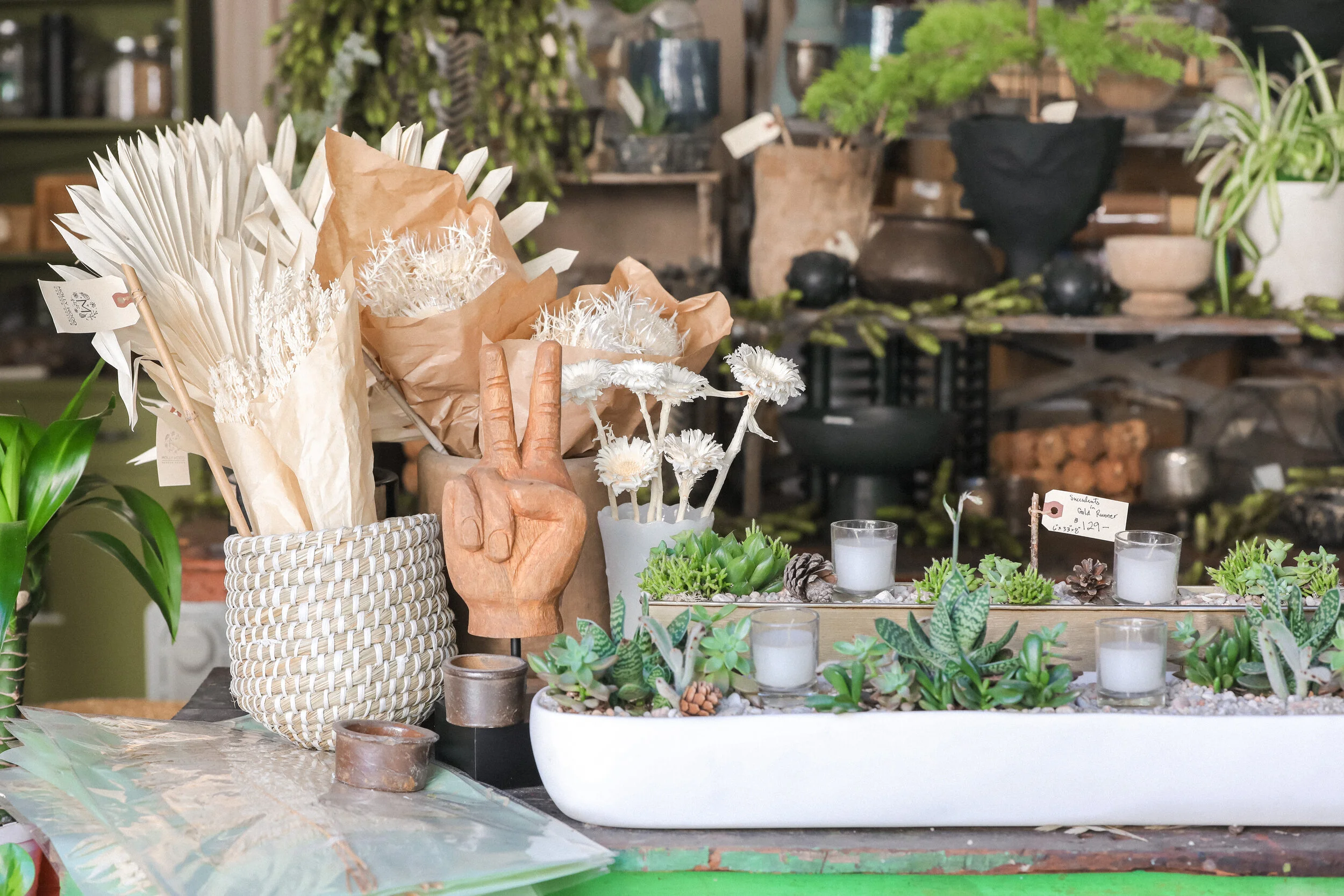 Bringing Nature Home With Molly Wood Garden Design Your Guide To Laguna Beach