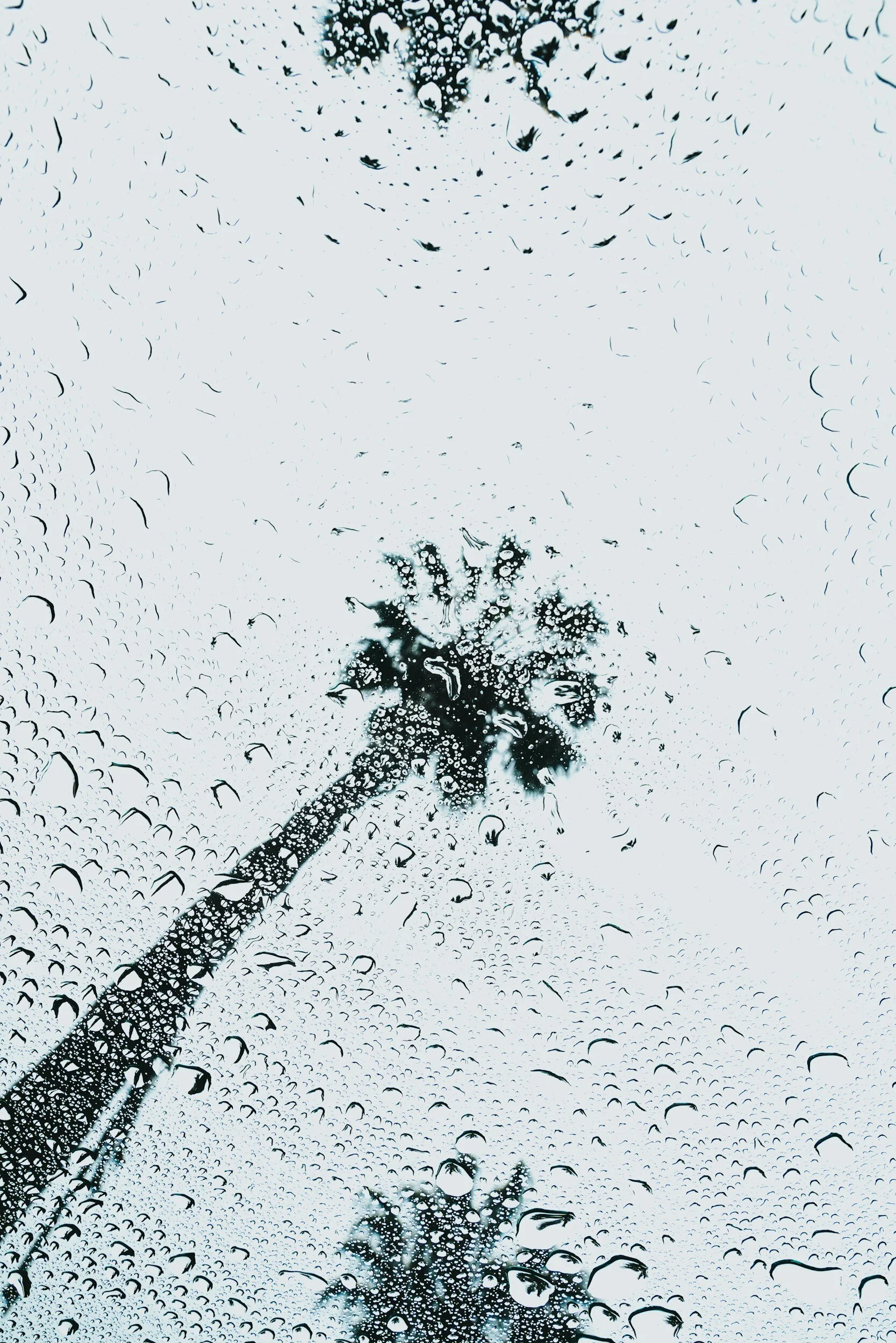 Cloudy with a Chance of Laguna: How to Spend a Rainy Day in Laguna Beach