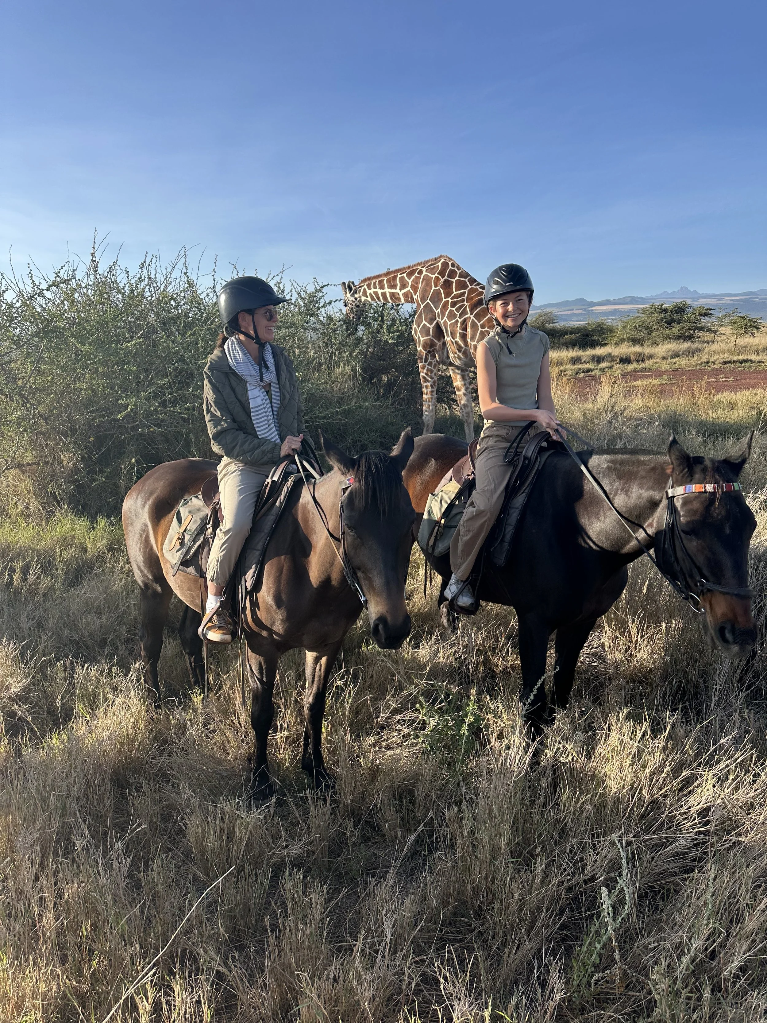 Travelers on a horseback safari encountering a giraffe in Africa