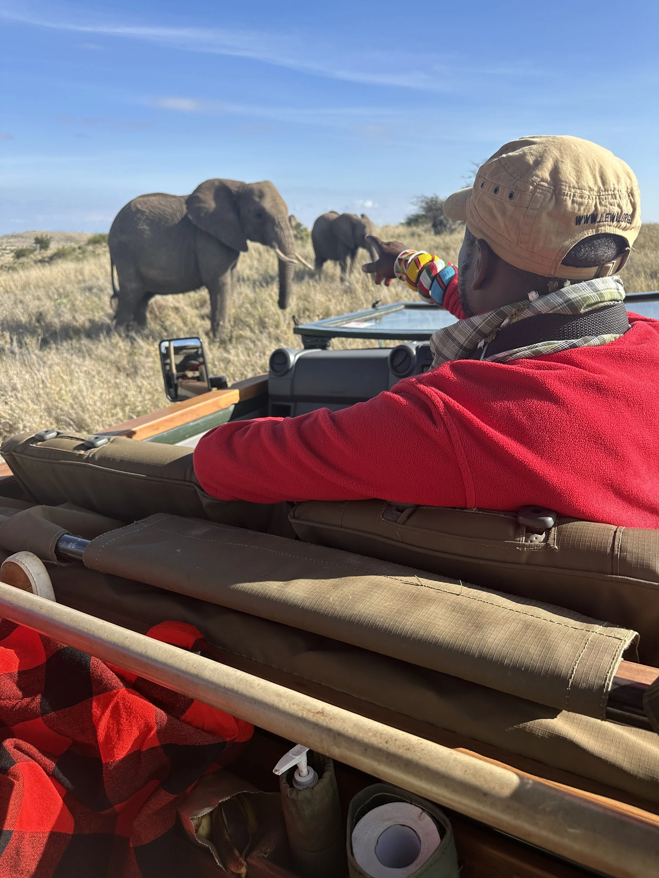 Safari guide pointing out elephants during a game drive in Africa