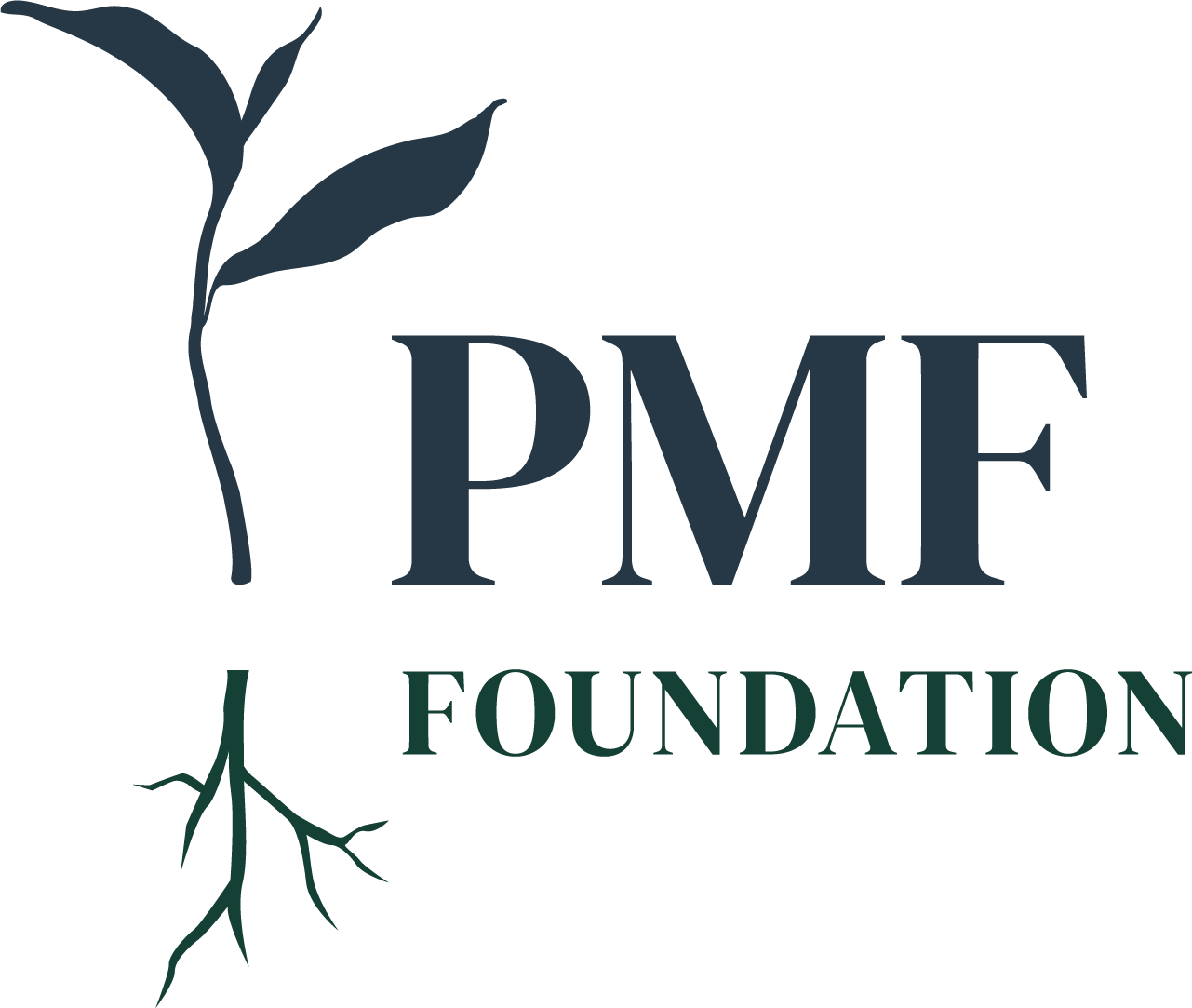 PMF Foundation