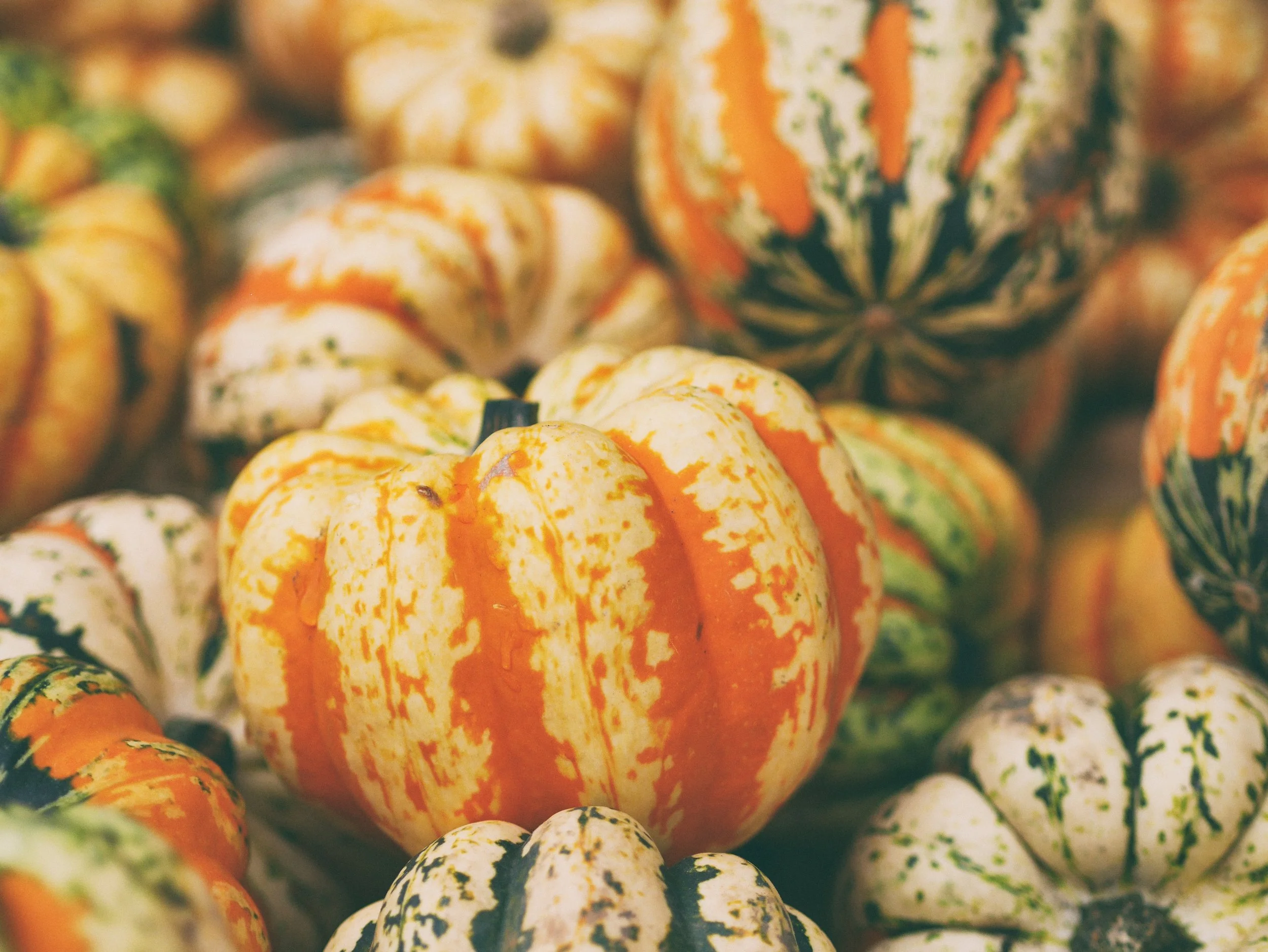 2nd Annual Fall Fest