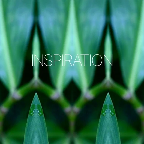 Exploring the Heart Chakra