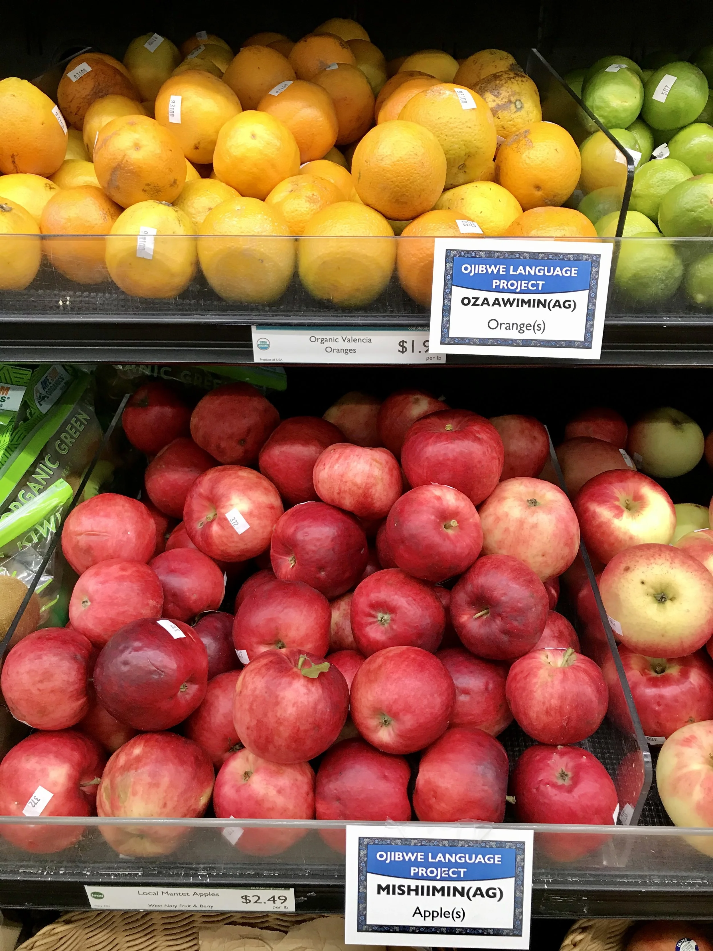 Ojibwe language project @ Harmony Co-op