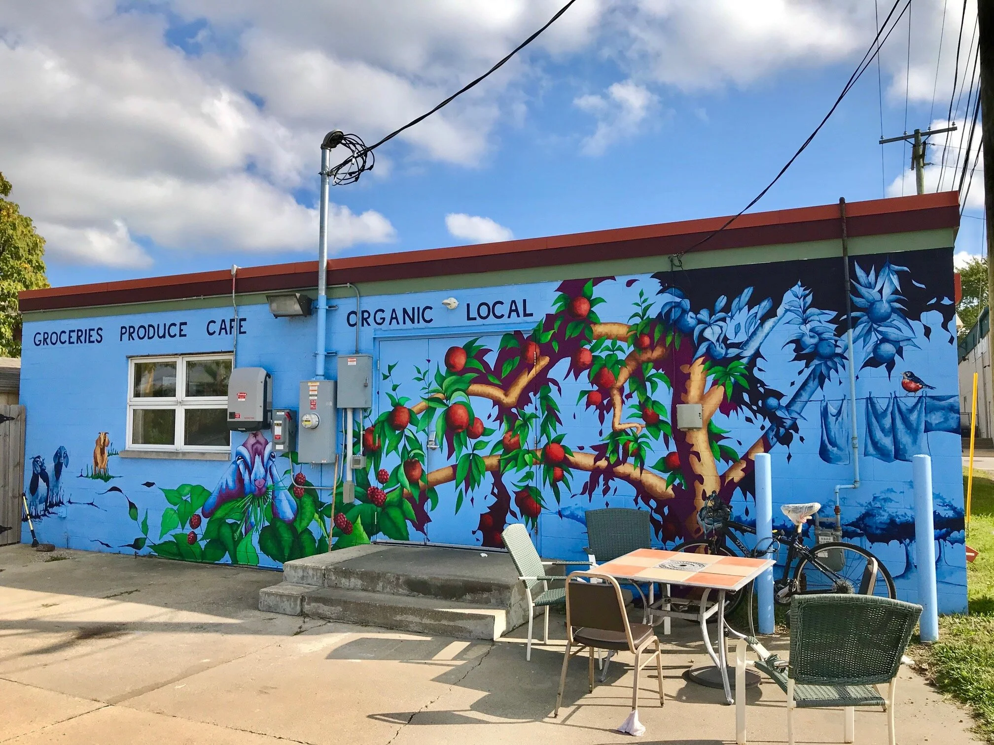 Purple Porch Food Co-op (South Bend, IN)