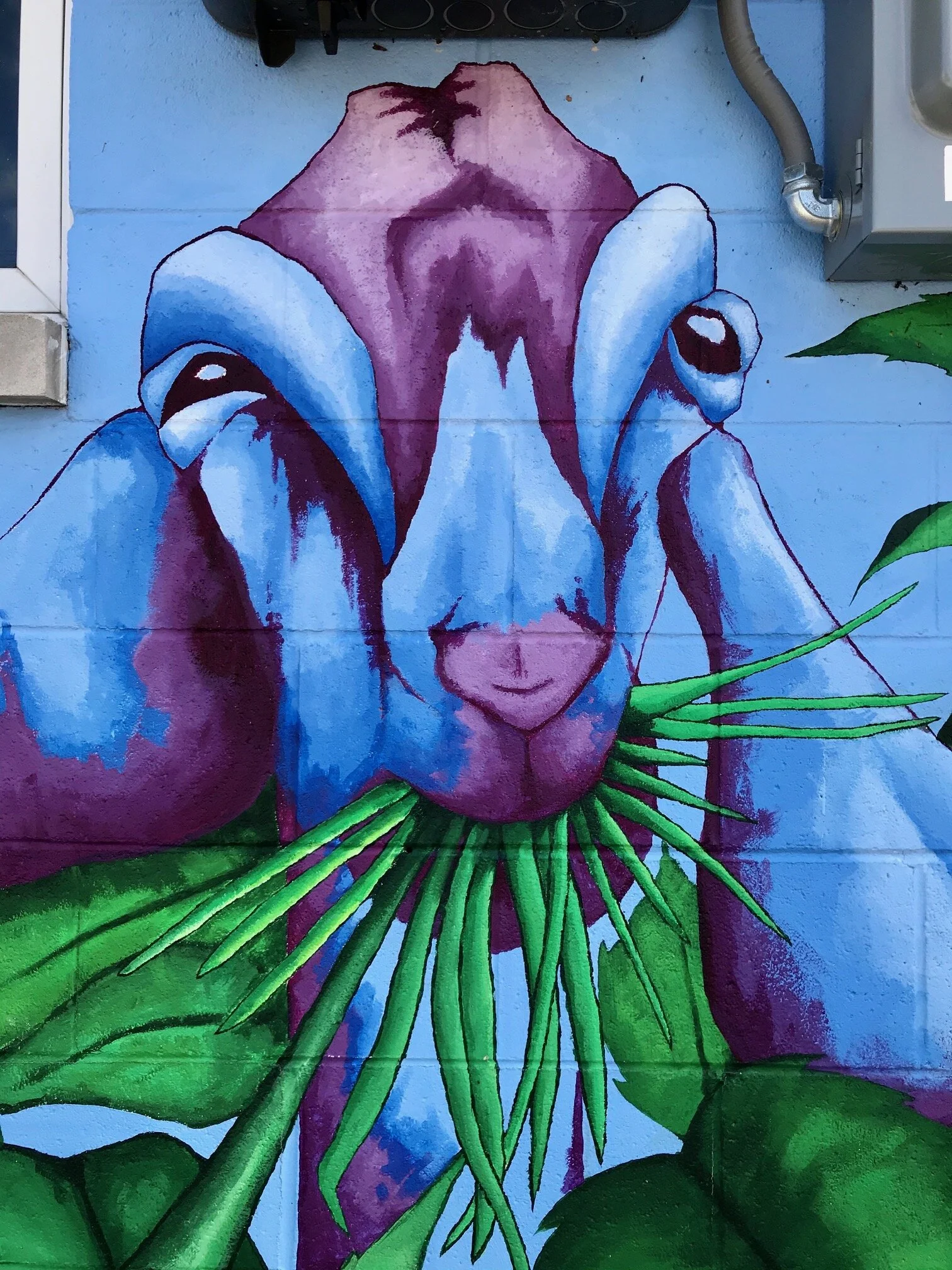 Purple Porch Food Co-op (South Bend, IN)