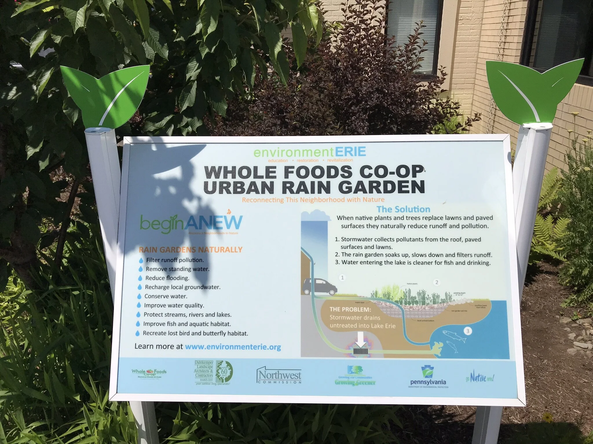 Whole Foods Co-op (Erie, PA)