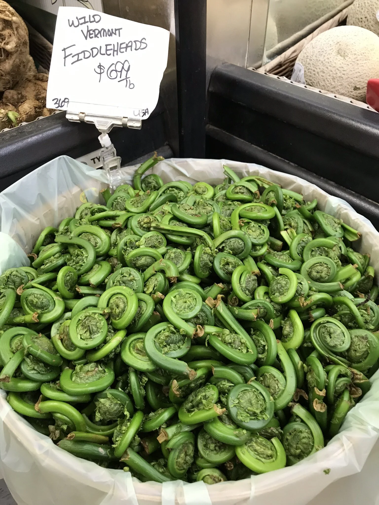 Wild harvested fiddleheads at Putney Food Co-op