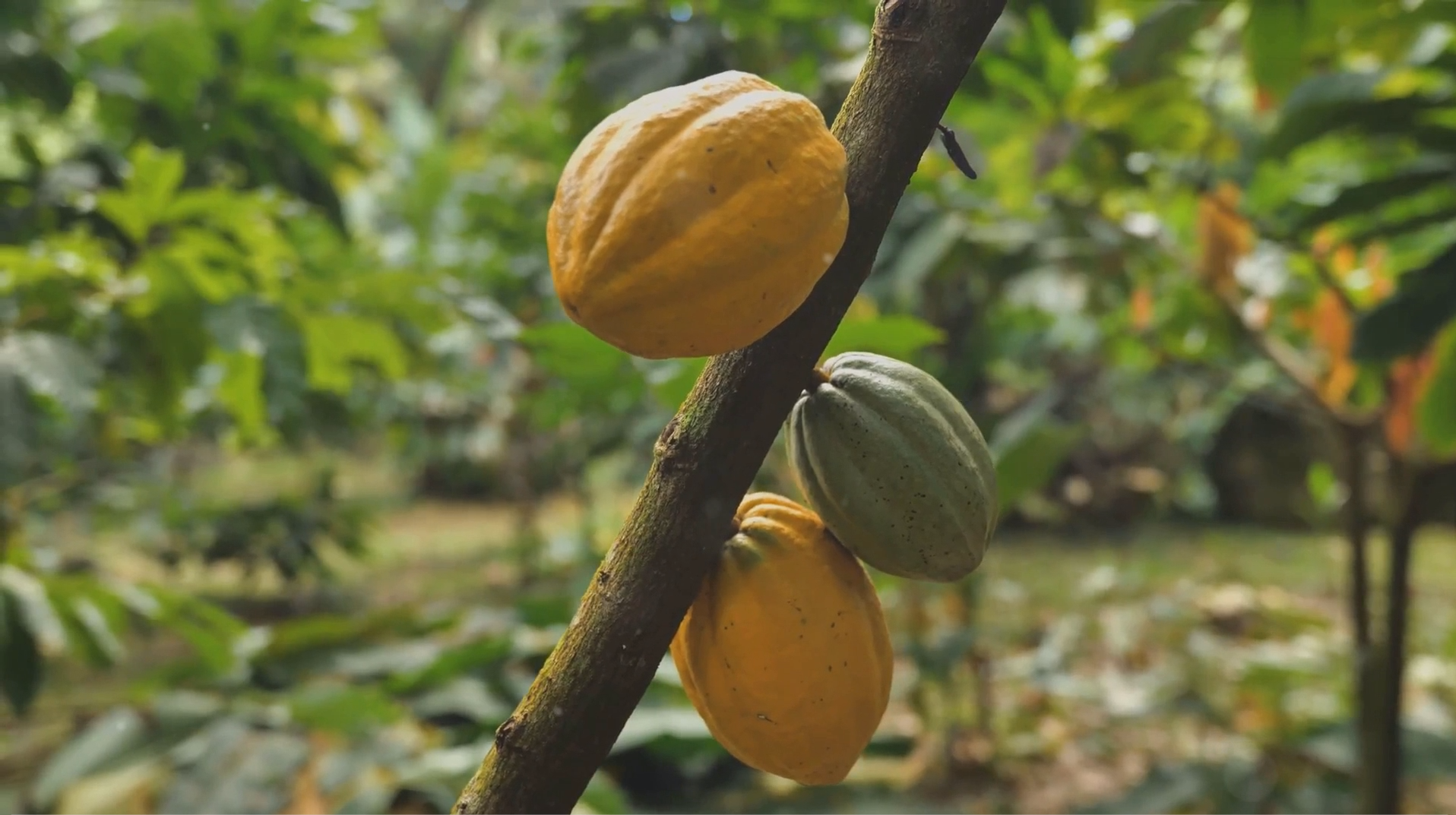 Screenshot 2024-04-13 202322.png