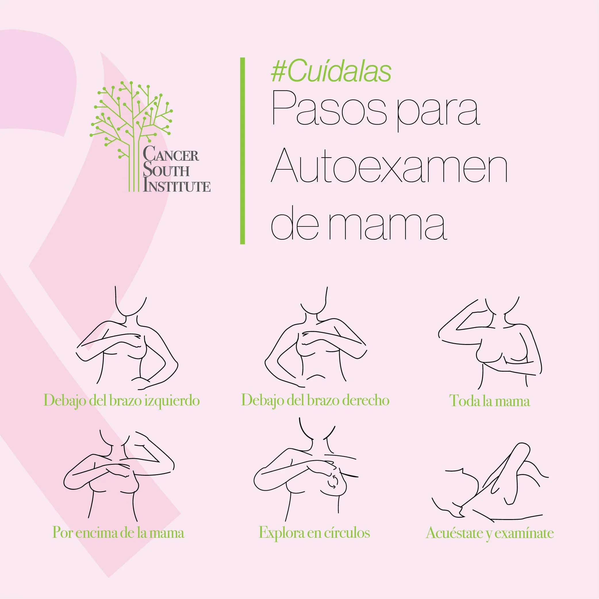 Importancia del auto examen de mama