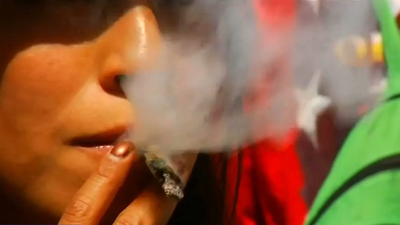 Mexico a step closer to legal marijuana