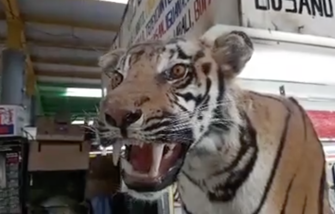 FB Live: Exotic meats in Mexico City