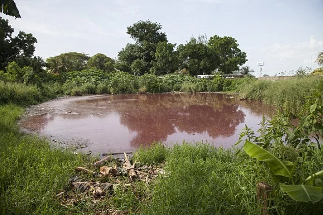 Horror of Mexico's blood-filled lagoon