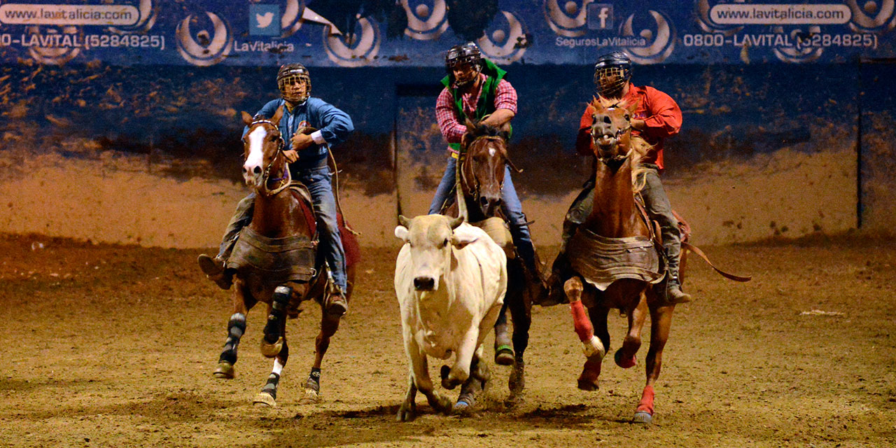 421_Guaco-Toros.jpg