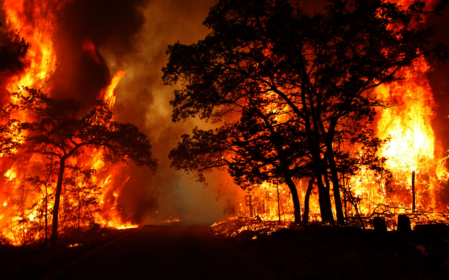 Portuguese firemen battle raging forest blaze
