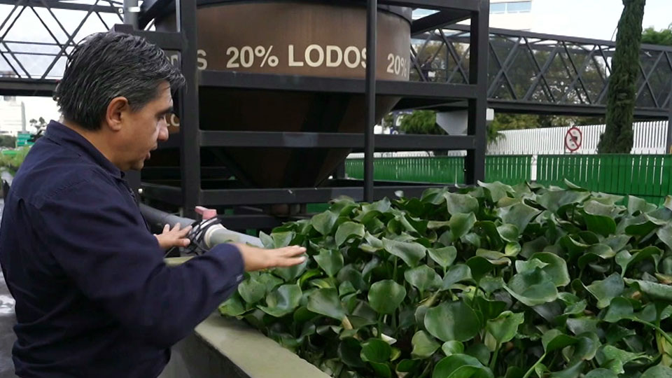'Ecoduct' an innovative solution to Mexico City water shortage
