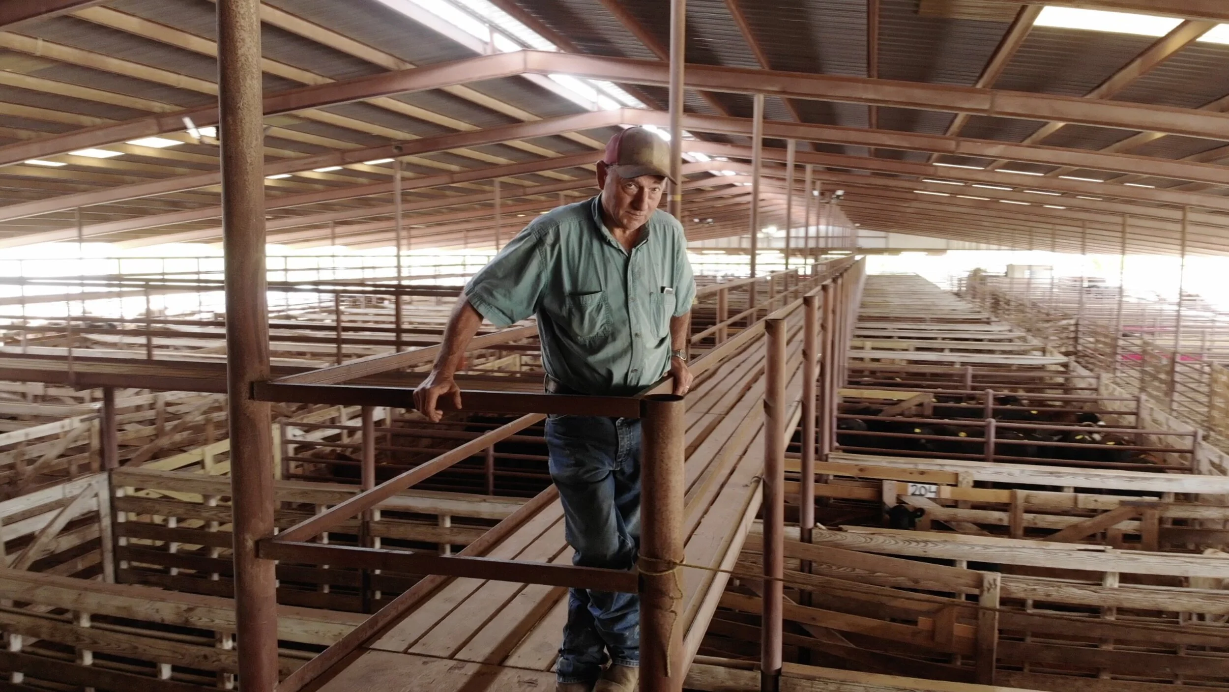 Texas Cattle Ranchers suffer as pandemic ravages meat industry