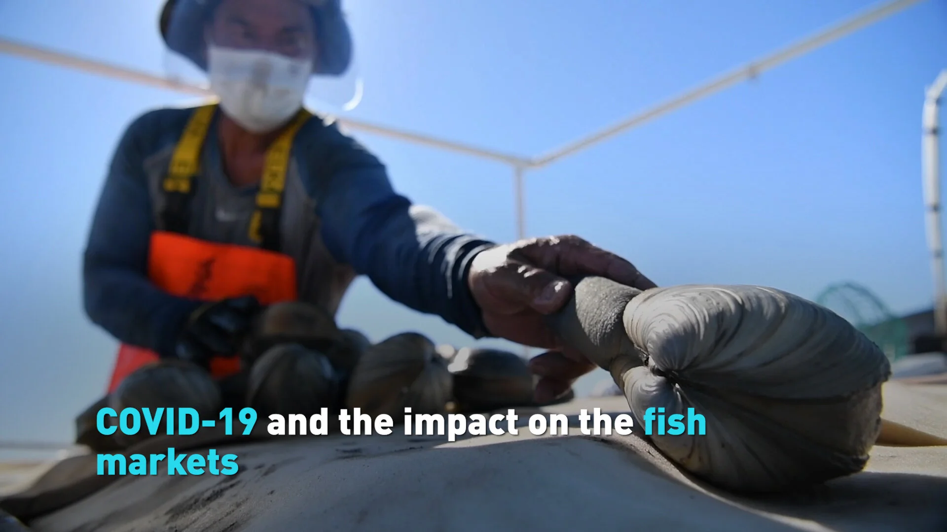 Baja's fisheries ride the globalized market during pandemic