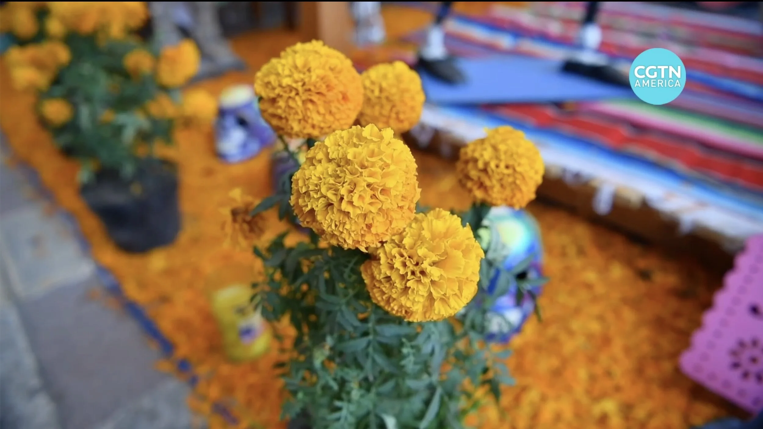 Mexico's Day of the Dead under pandemic protocols
