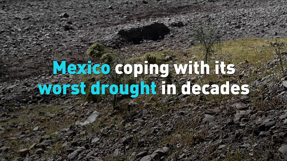 Mexico suffering worst drought in 35 years