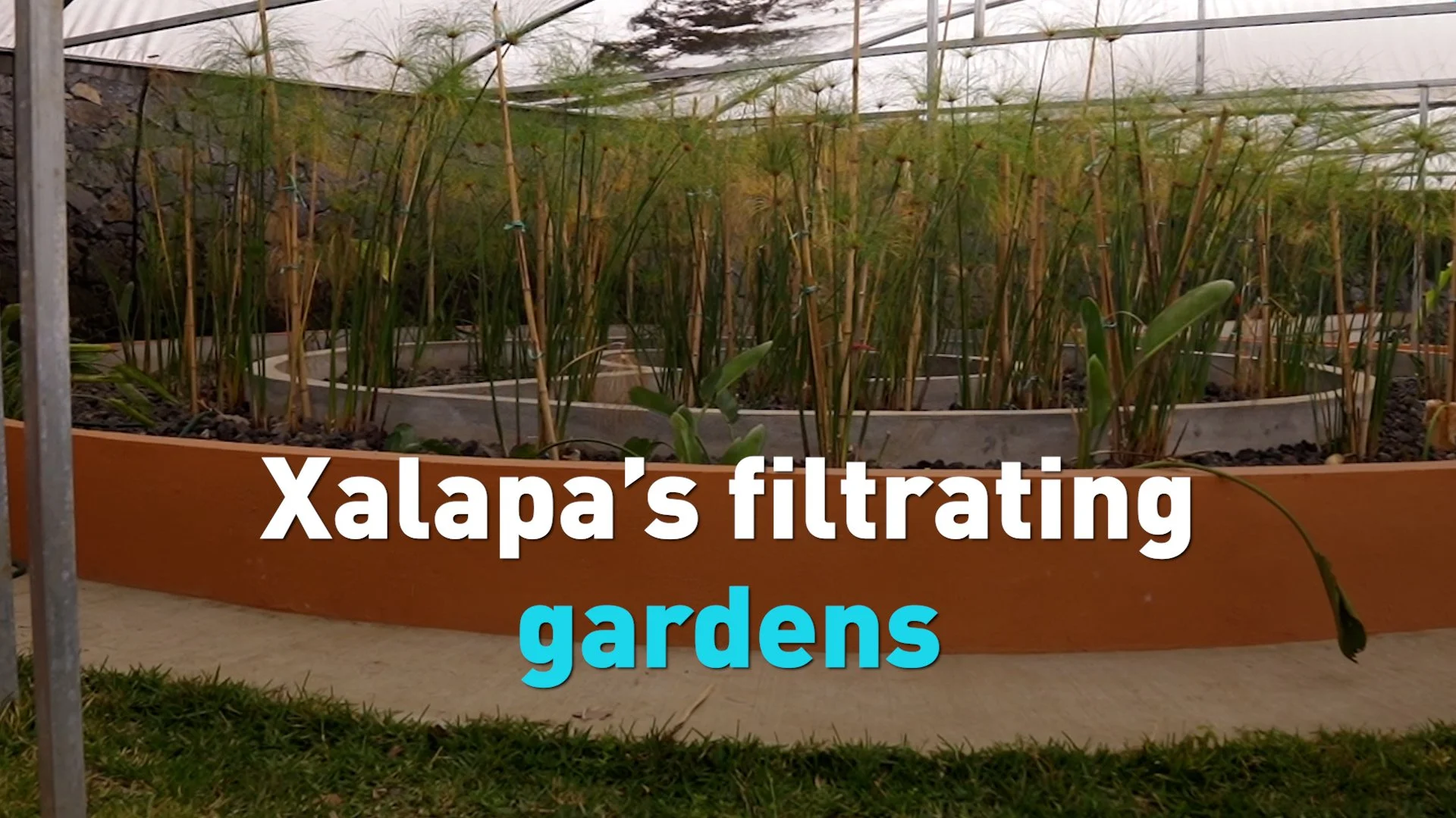 U.N.'s CityAdapt mitigates climate change fallout with natural solutions