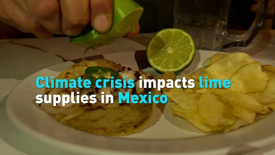 Climate crisis impacts lime production in Mexico