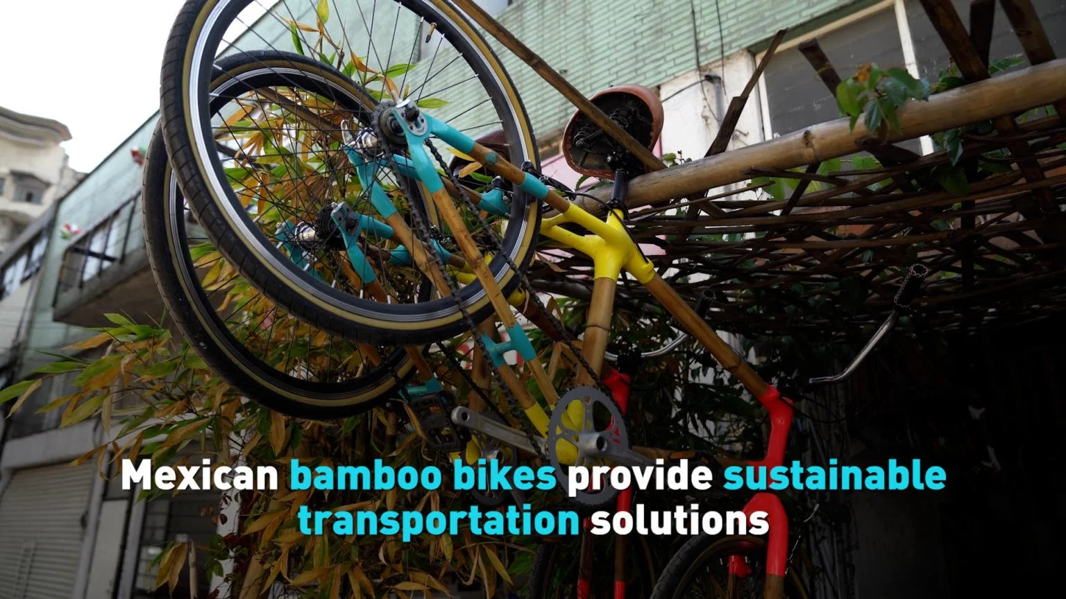 Bamboo bikes provide sustainable transportation solution