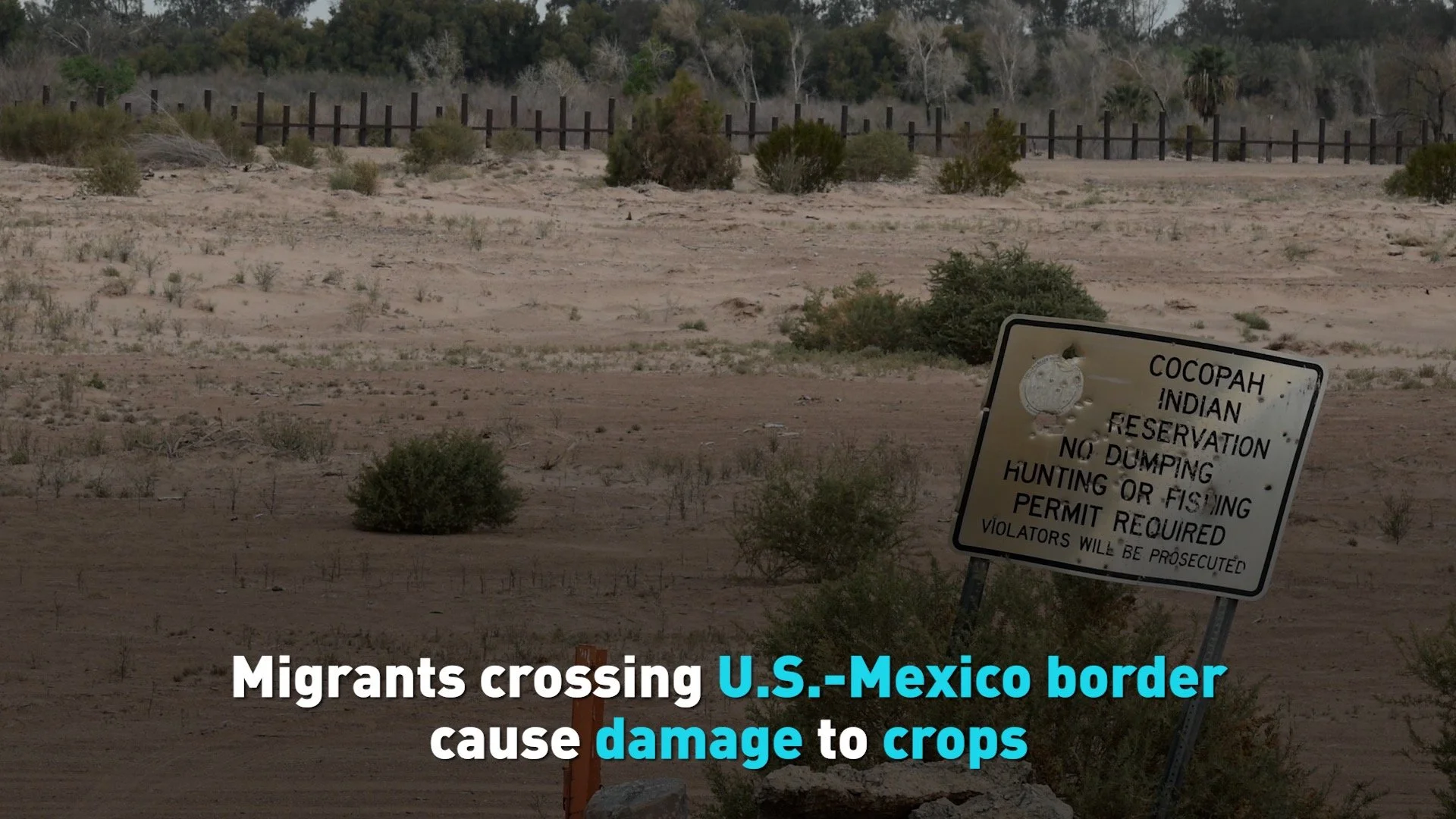 Migrant crossings overwhelm U.S. farmers