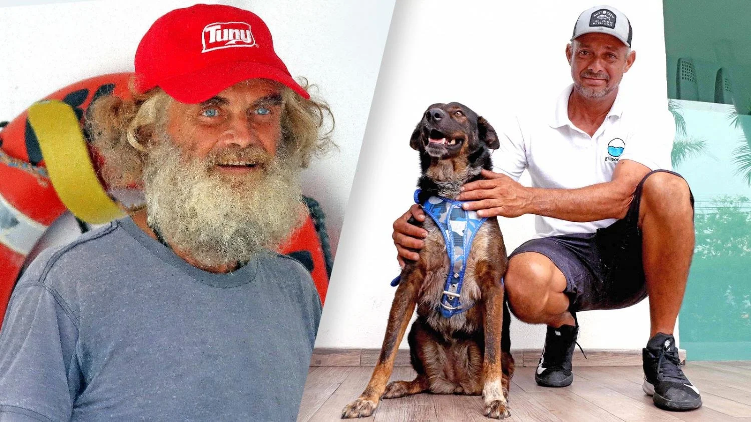 Mexican sea dog finds home after being lost at sea