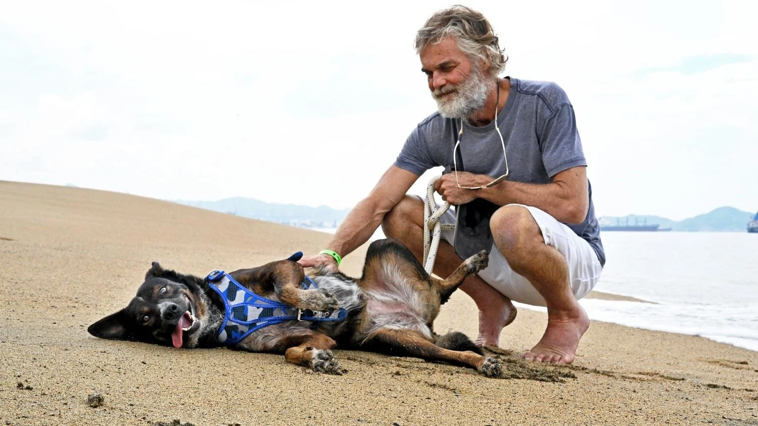 The Times Exclusive: Australian sailor reunites with his dog