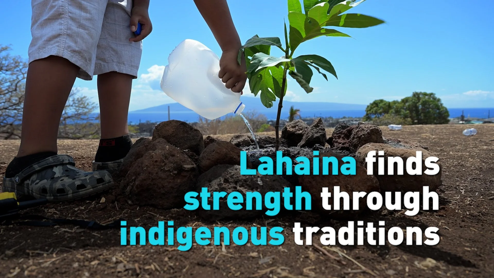 Lahaina finds strength in native tradition