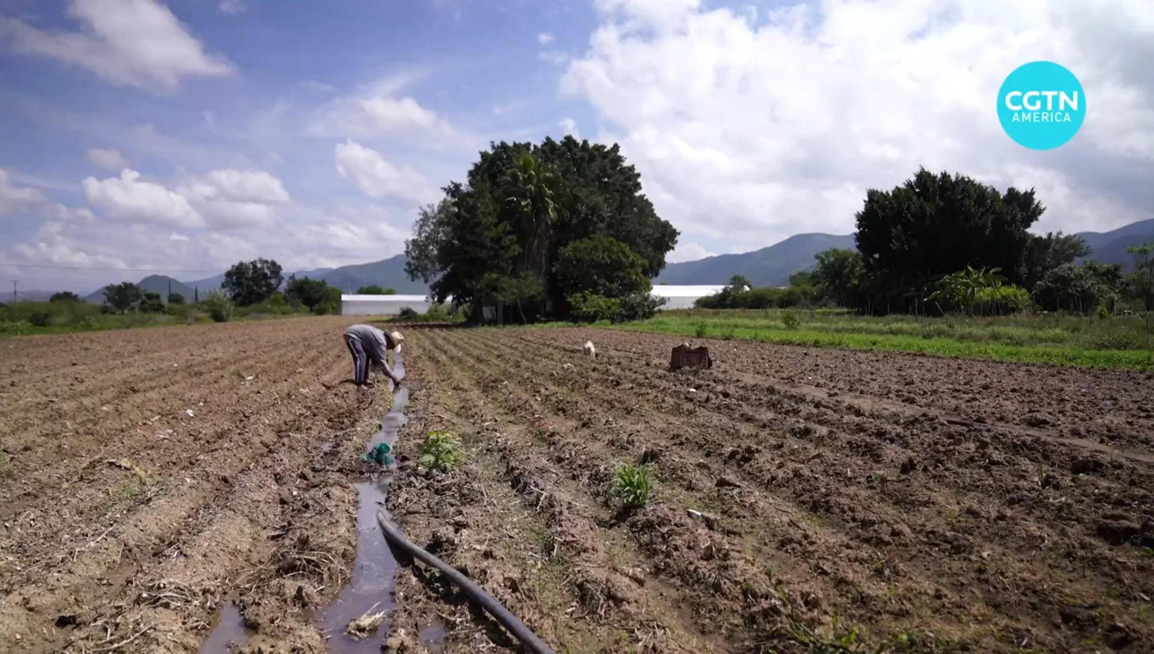 Mexico strengthens Right To Adequate Food Law