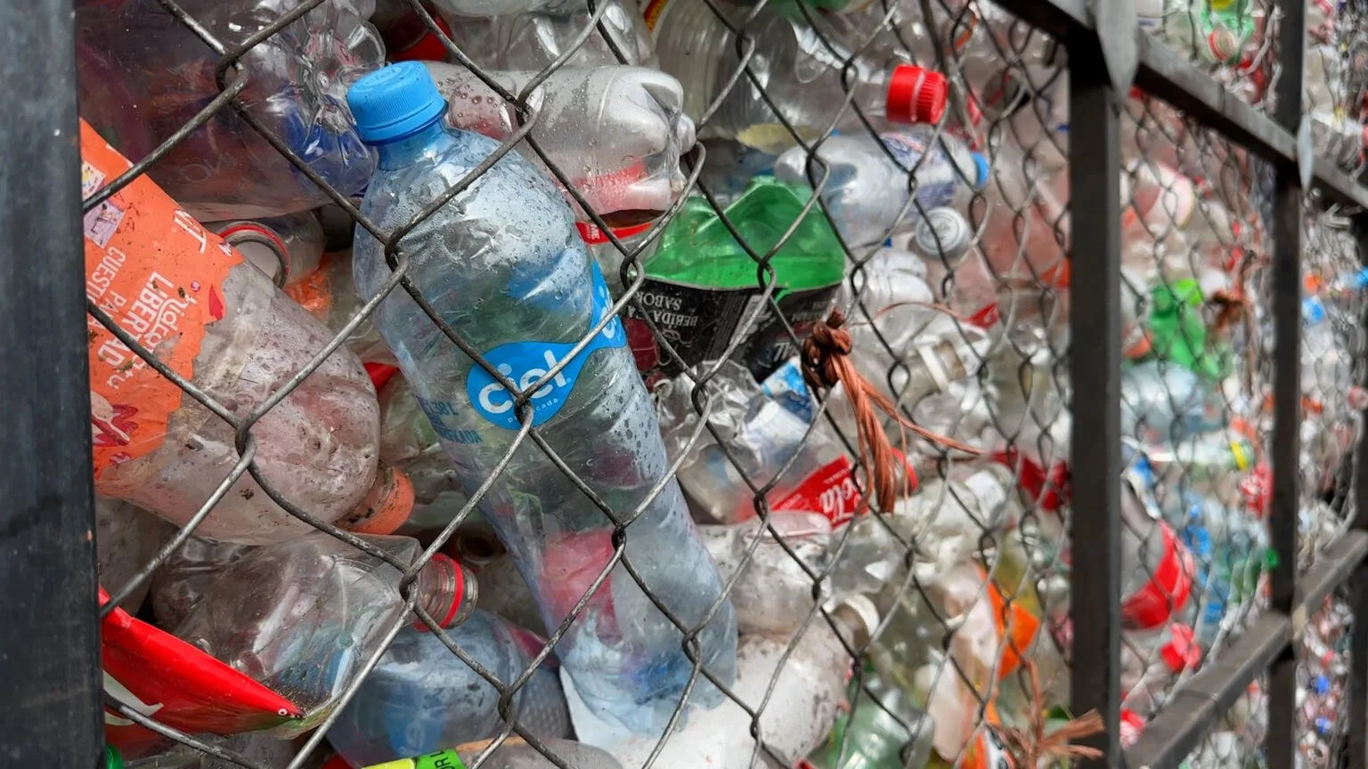 Mexican plastic recycling startups economically attractive