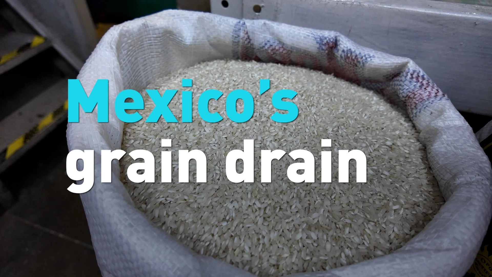 Mexico seeks to diversify basic grains supply