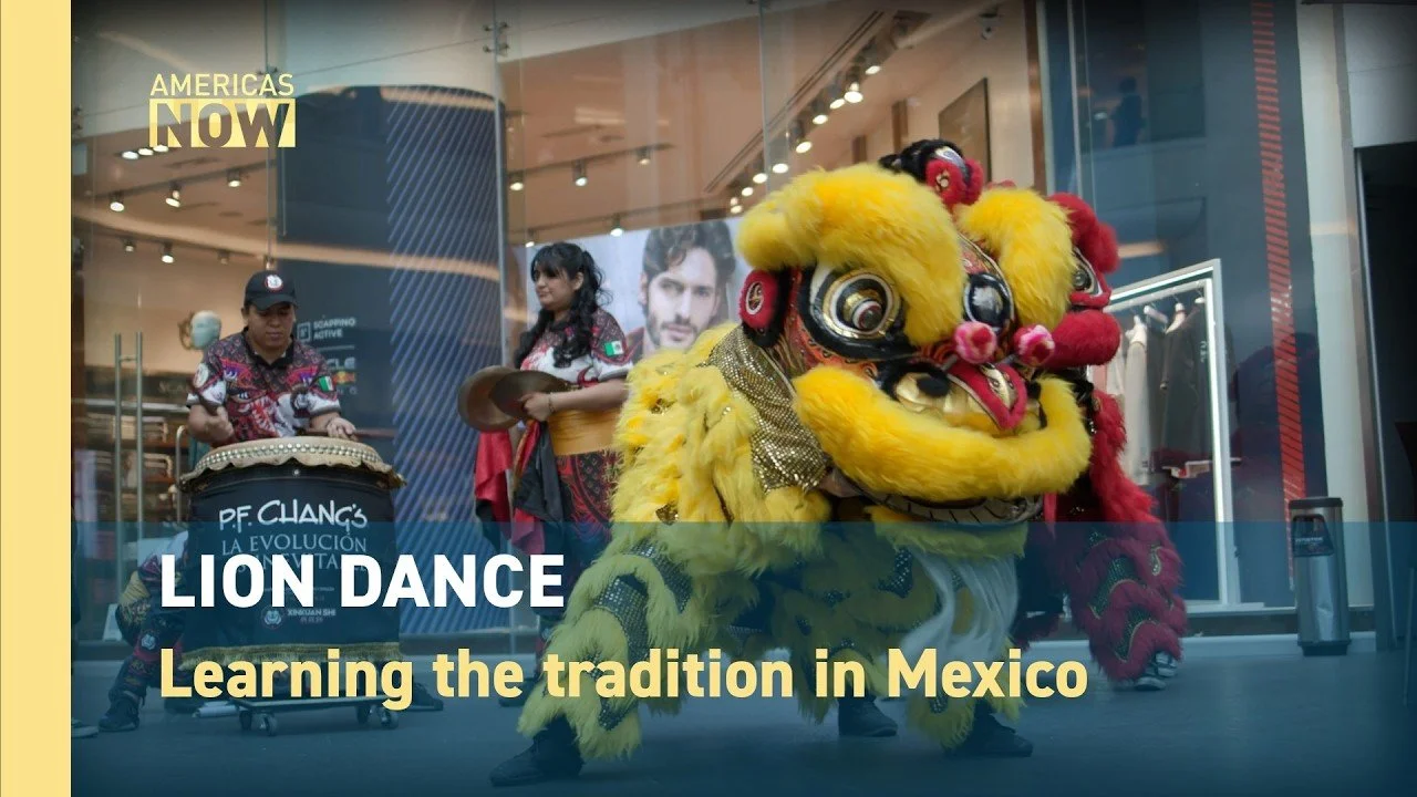 Learning the Lion Dance