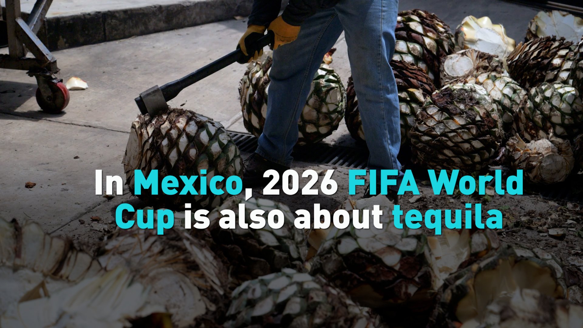 Tequila prepares for bumper World Cup year