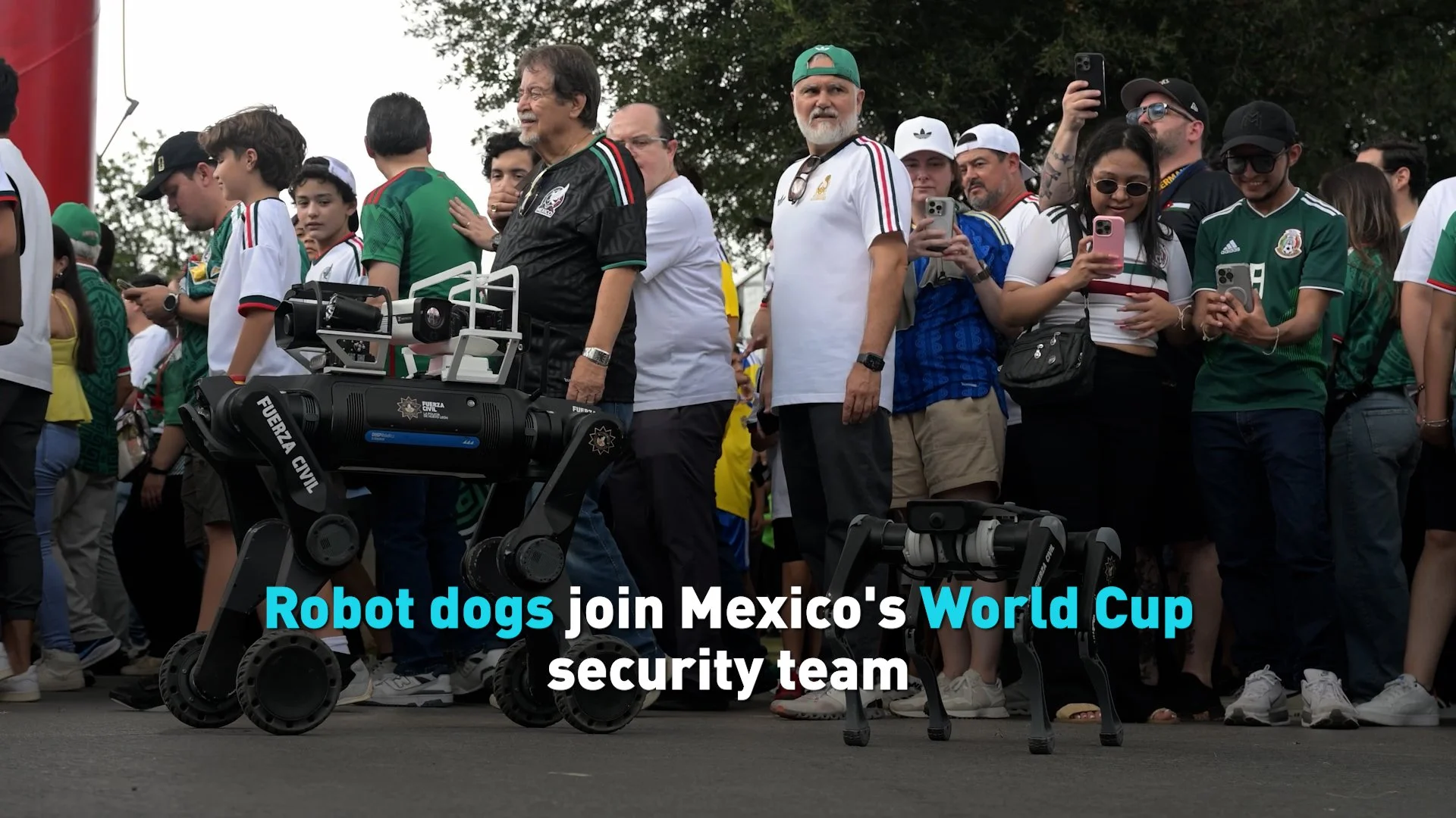 Mexico deploys robot dogs at the World Cup