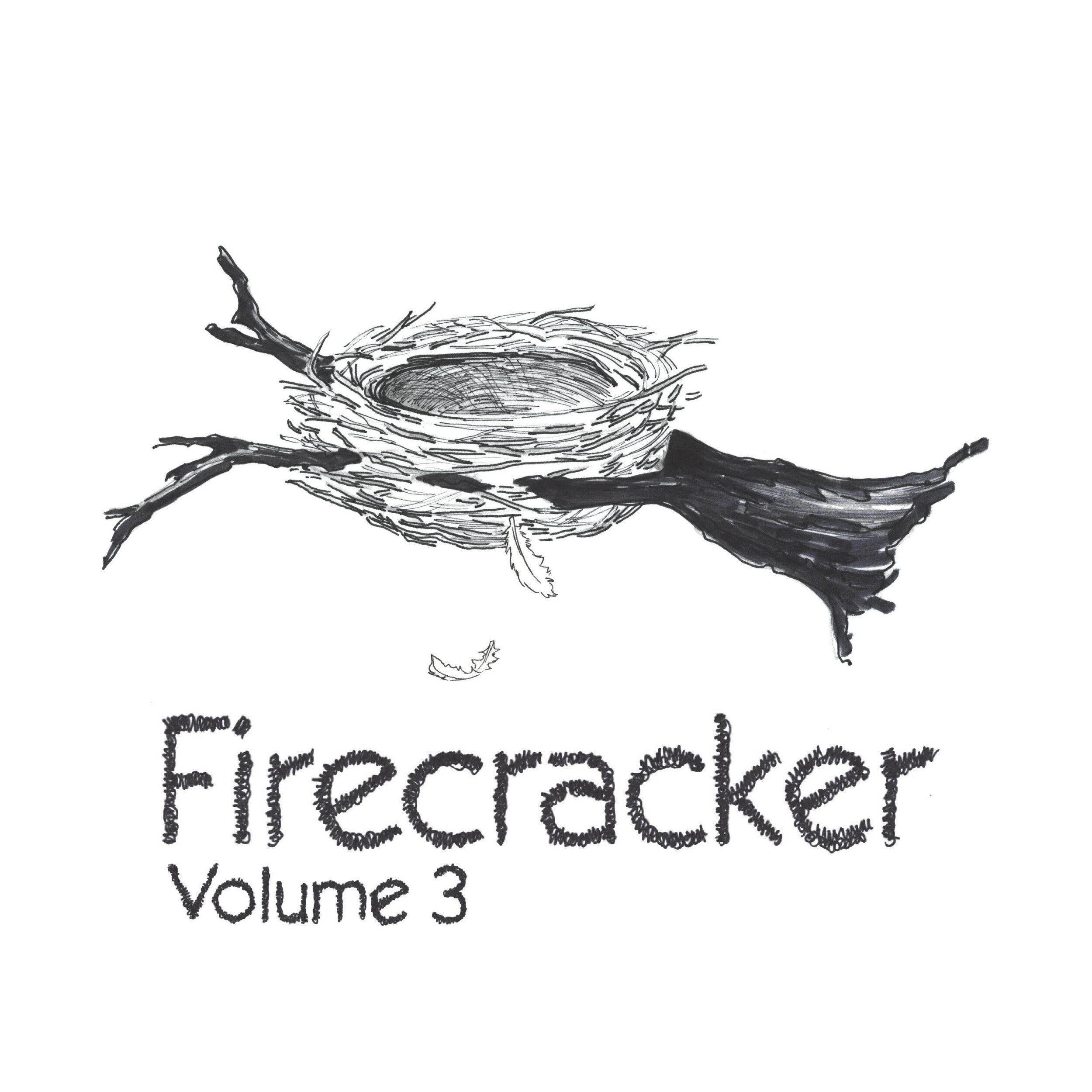 Firecracker Vol 3 - 2020-page-002.jpg