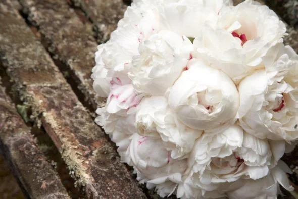 Long live the flowers