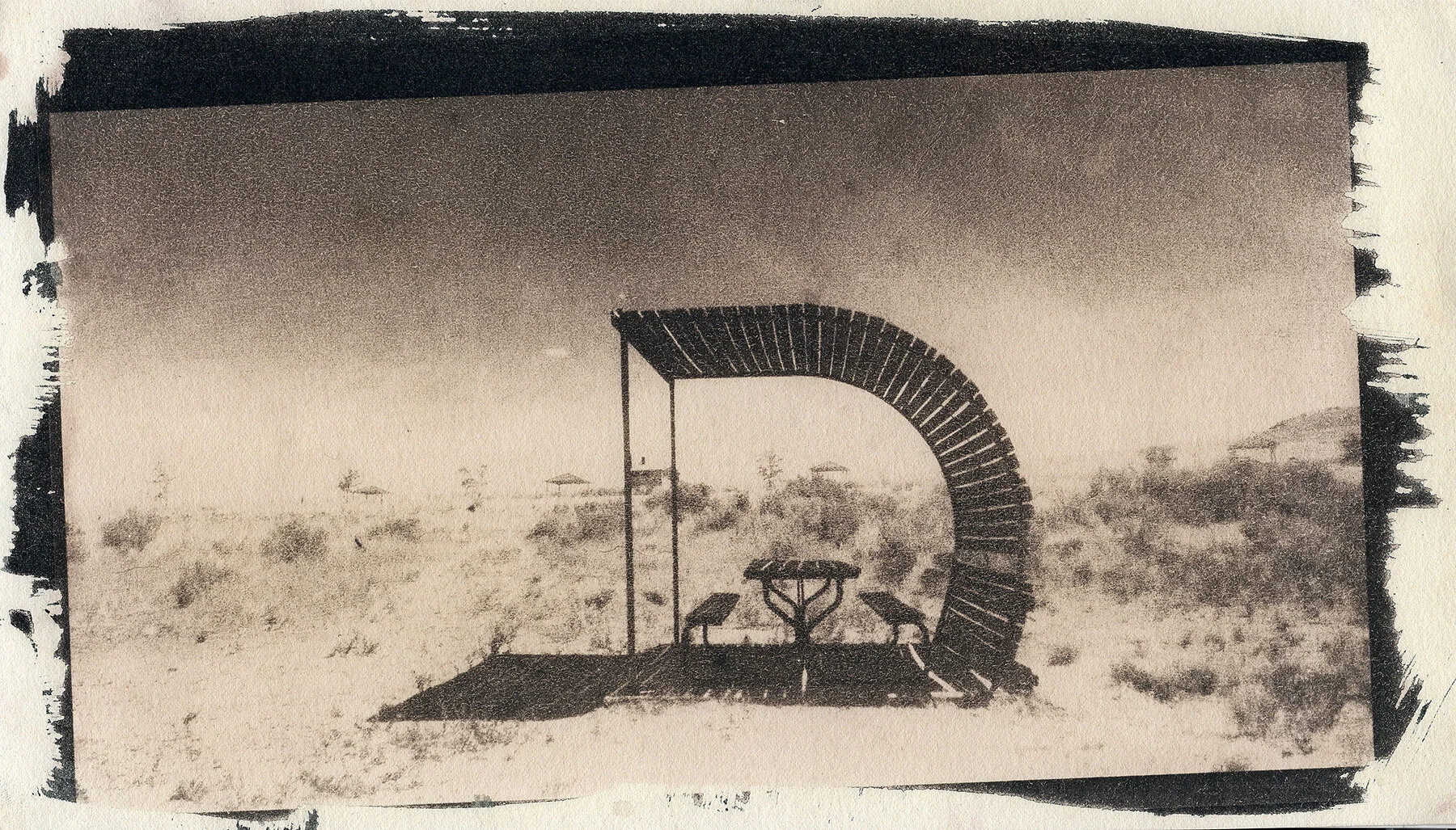 sepia1.jpg