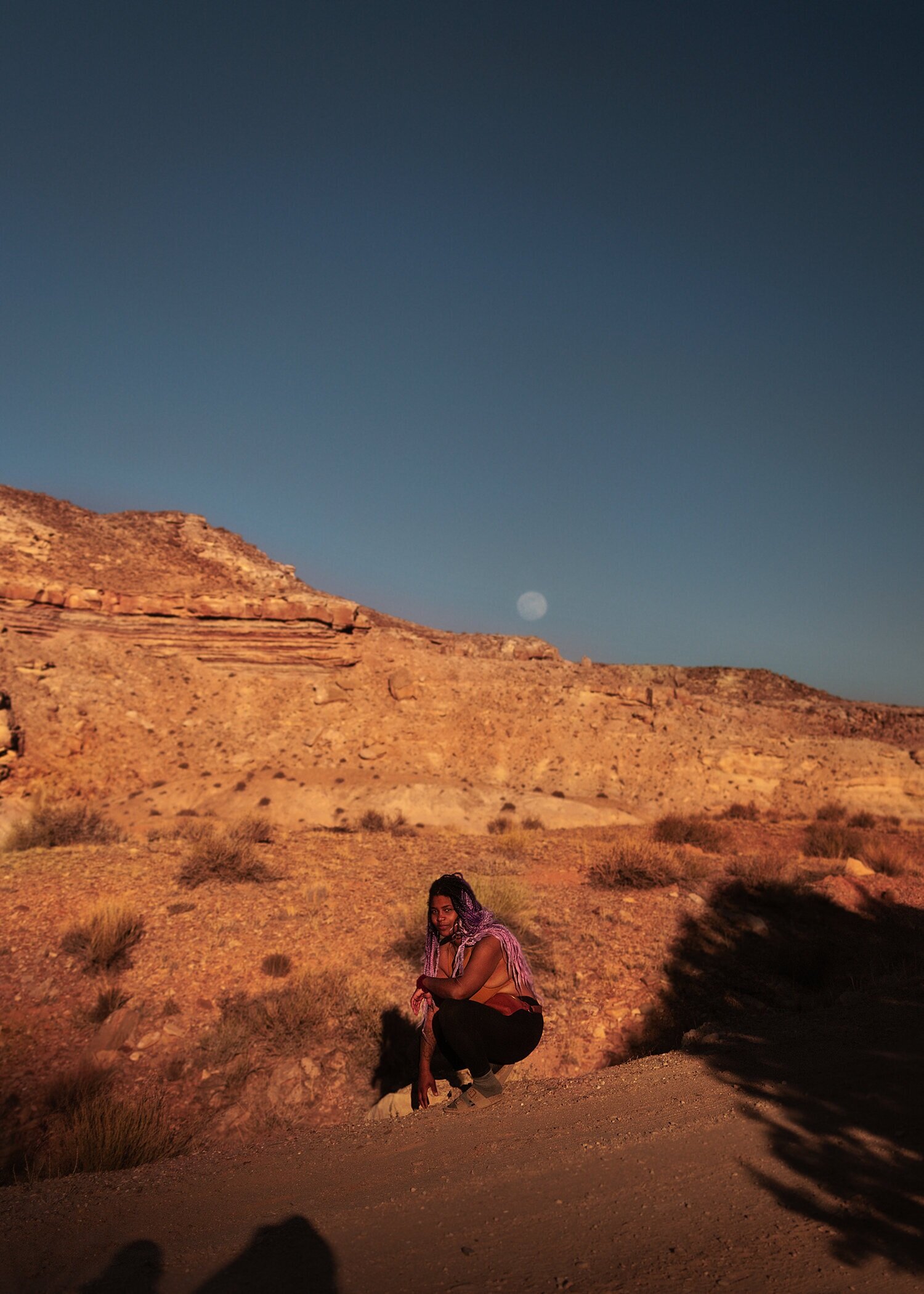 Raven, Goblin Valley, 2021