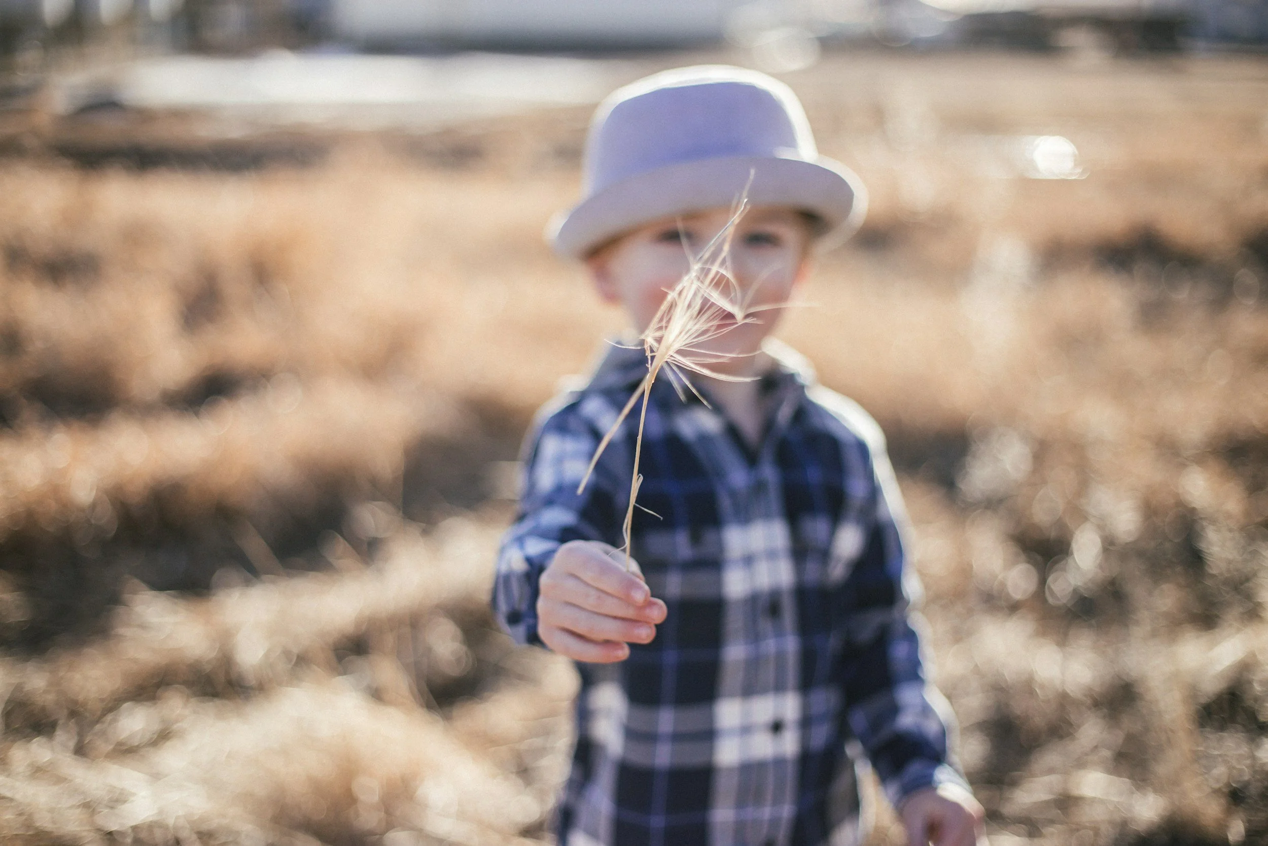 unsplash-image-bB3cI6AUxRs.jpg
