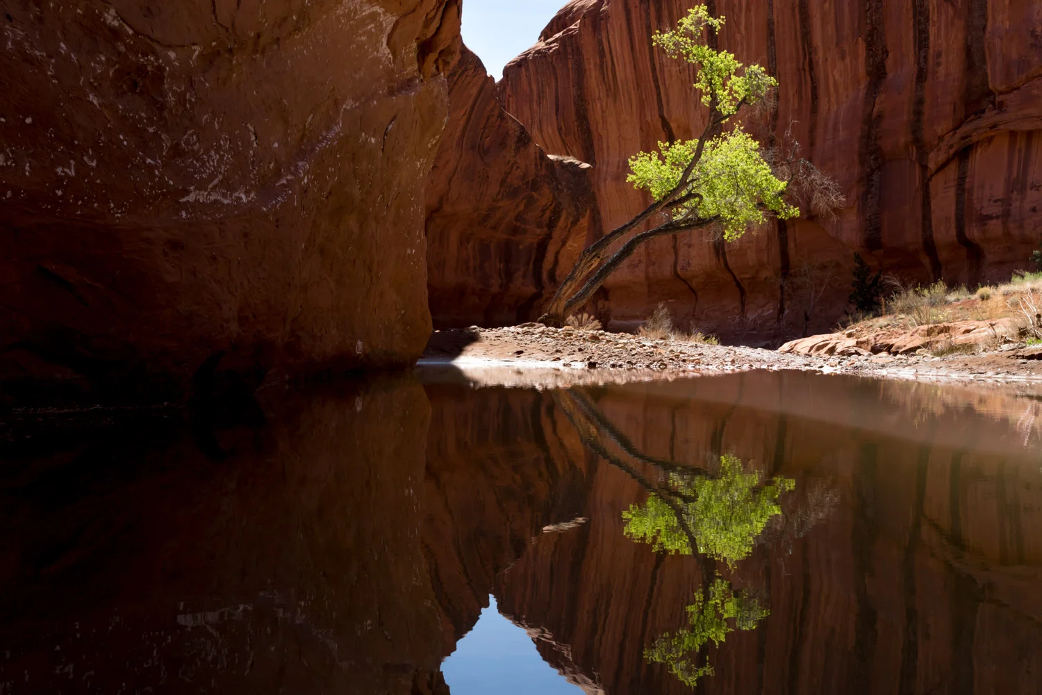 2017 March Canyonlands NP Escalante BLM.jpg